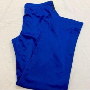 Danskin Now Athletic Pants, L(12/14) EUC